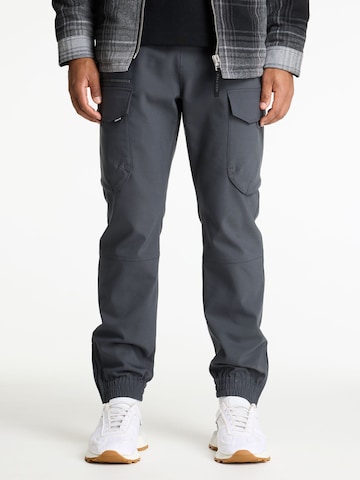 Regular Pantalon cargo 'Rift Flow' CHASIN' en gris : devant
