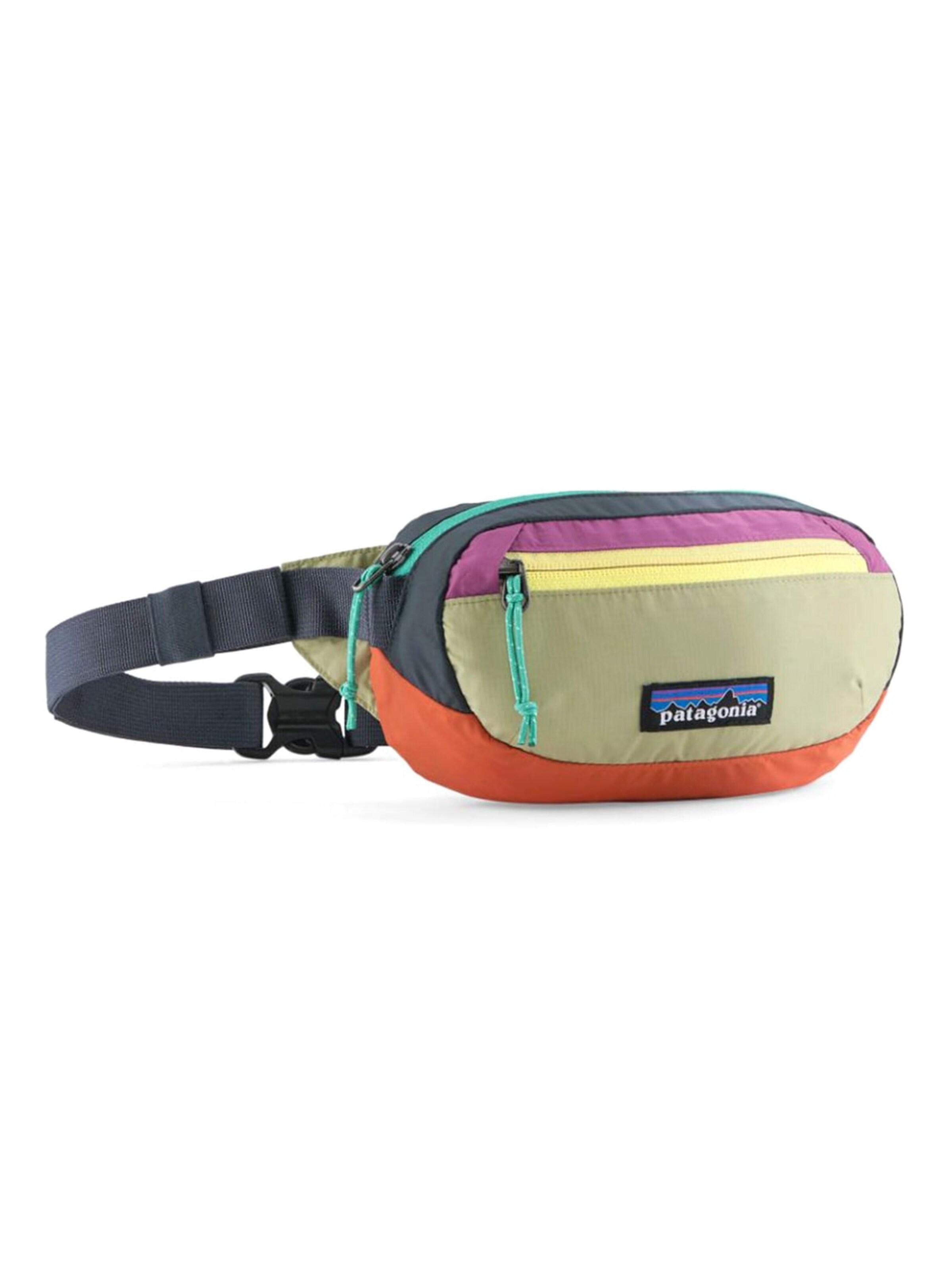 PATAGONIA Bæltetaske 'TERRAVIA MINI HIP PACK GUMTREE GREEN' i grøn: forside