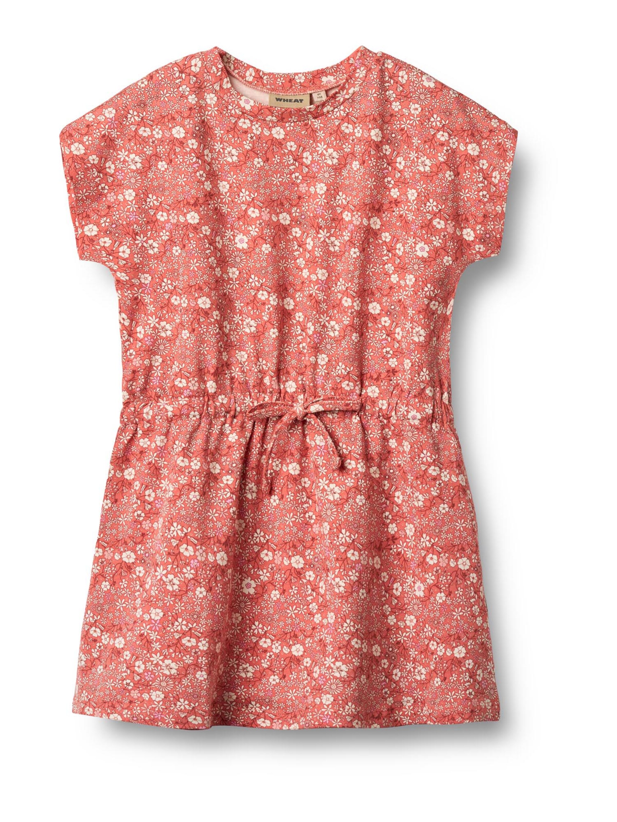 rozā WHEAT Kleita 'Maribel': no priekšpuses