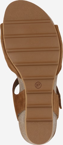 PANAMA JACK Sandals in Brown