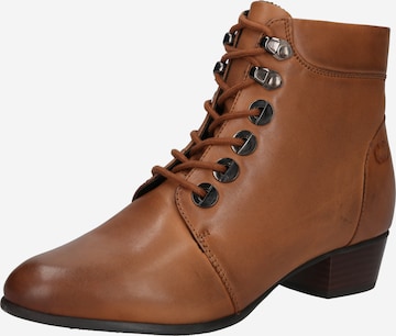 GERRY WEBER Lace-Up Ankle Boots 'Lara' in Brown: front