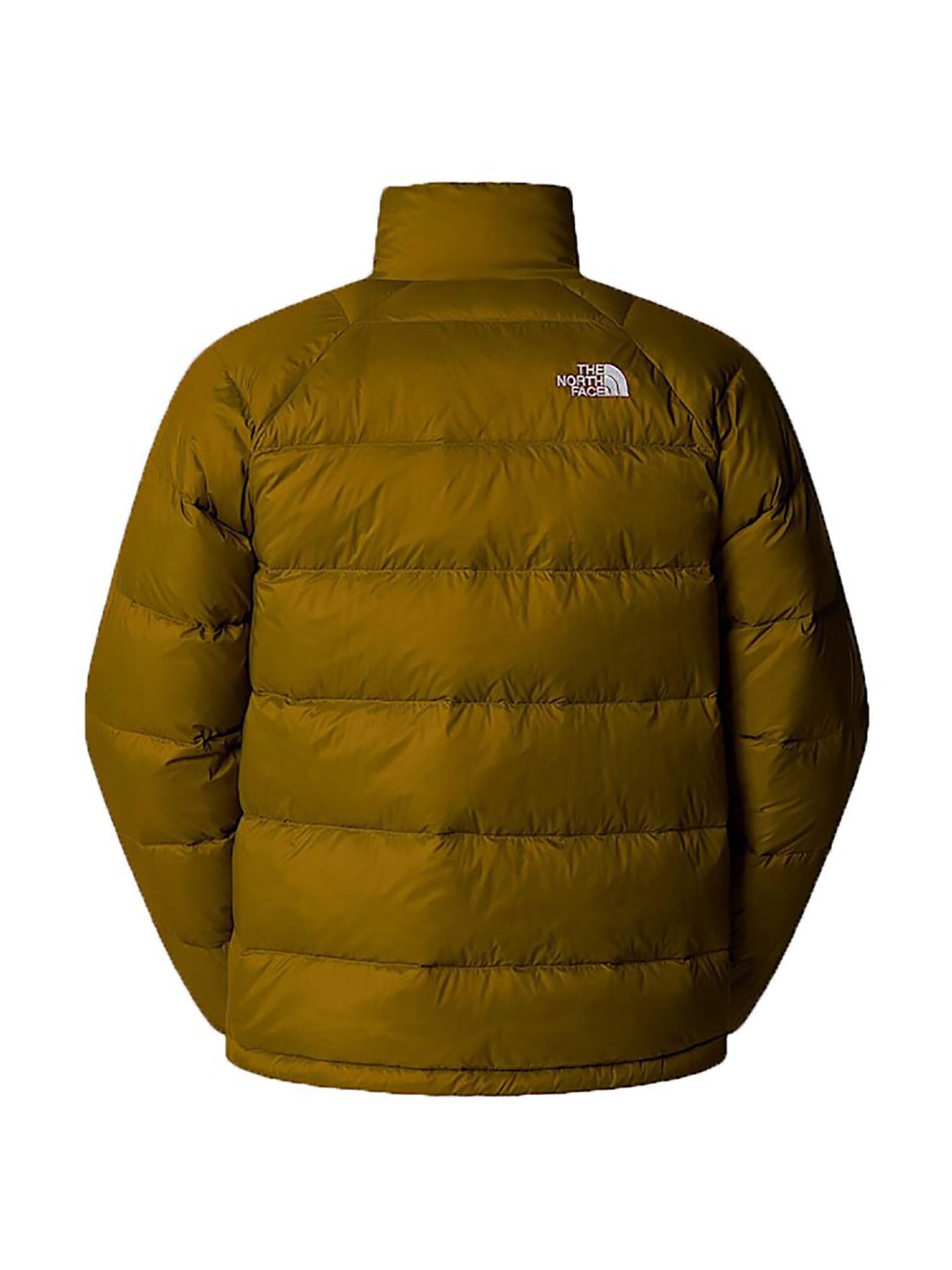 THE NORTH FACE Winter Jacket in Green