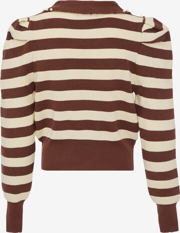 nolie Sweater in Brown