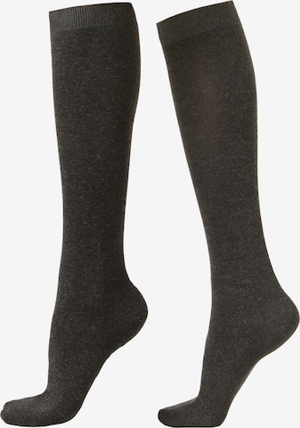 CALZEDONIA Socks in Grey: front