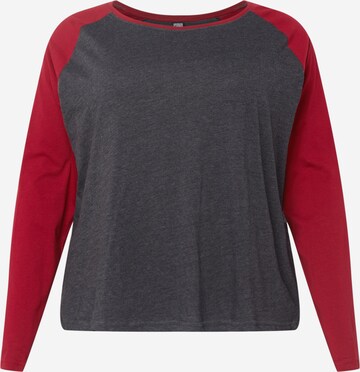 T-shirt Urban Classics en gris : devant