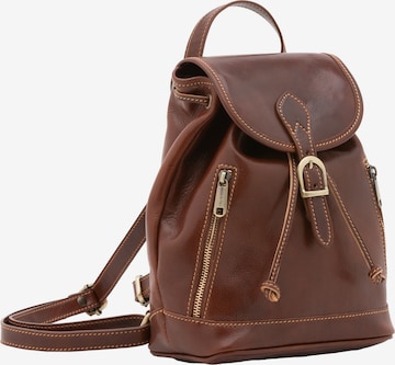 Viola Castellani Backpack in Brown: front