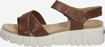 CAPRICE Sandals in Brown