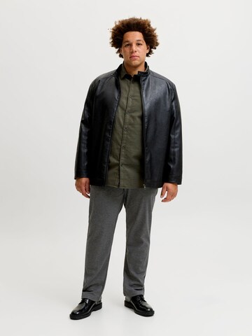 Regular Pantalon chino JACK & JONES en gris : devant