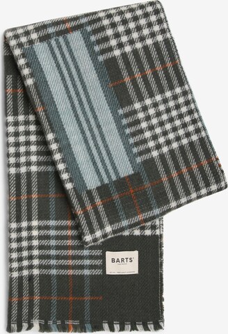 Barts Scarf ' Castanea ' in Green