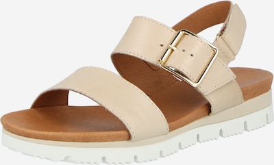 Bianco Sandal 'Debra' in Kitt, Item view
