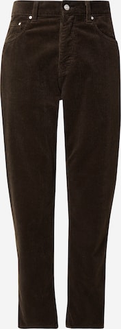 Carhartt WIPregular Hlače 'Newel' - smeđa boja: prednji dio