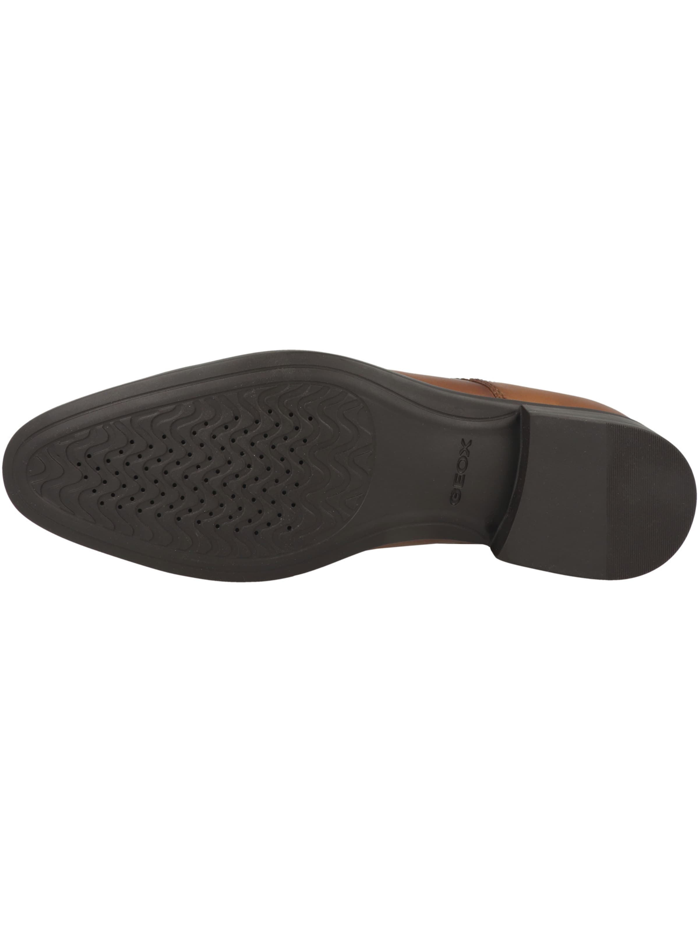 GEOX - Sapato com atacadores 'Thalos' em castanho