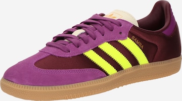 Baskets basses 'SAMBA' ADIDAS ORIGINALS en violet : devant