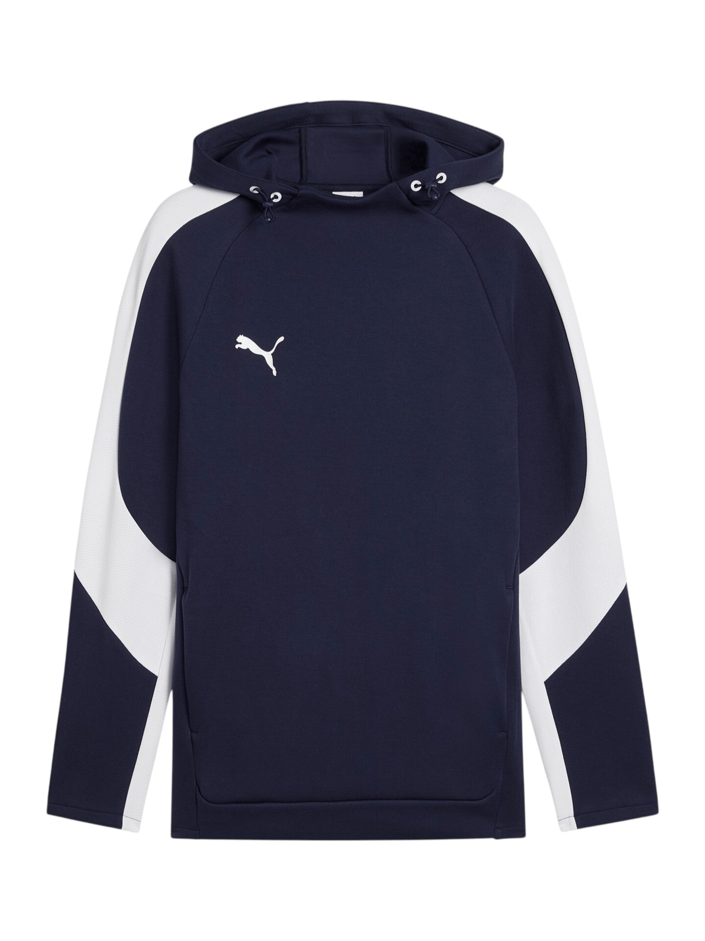 PUMA Sportsweatshirt 'TeamEvostripe' in Blau: Vorderseite