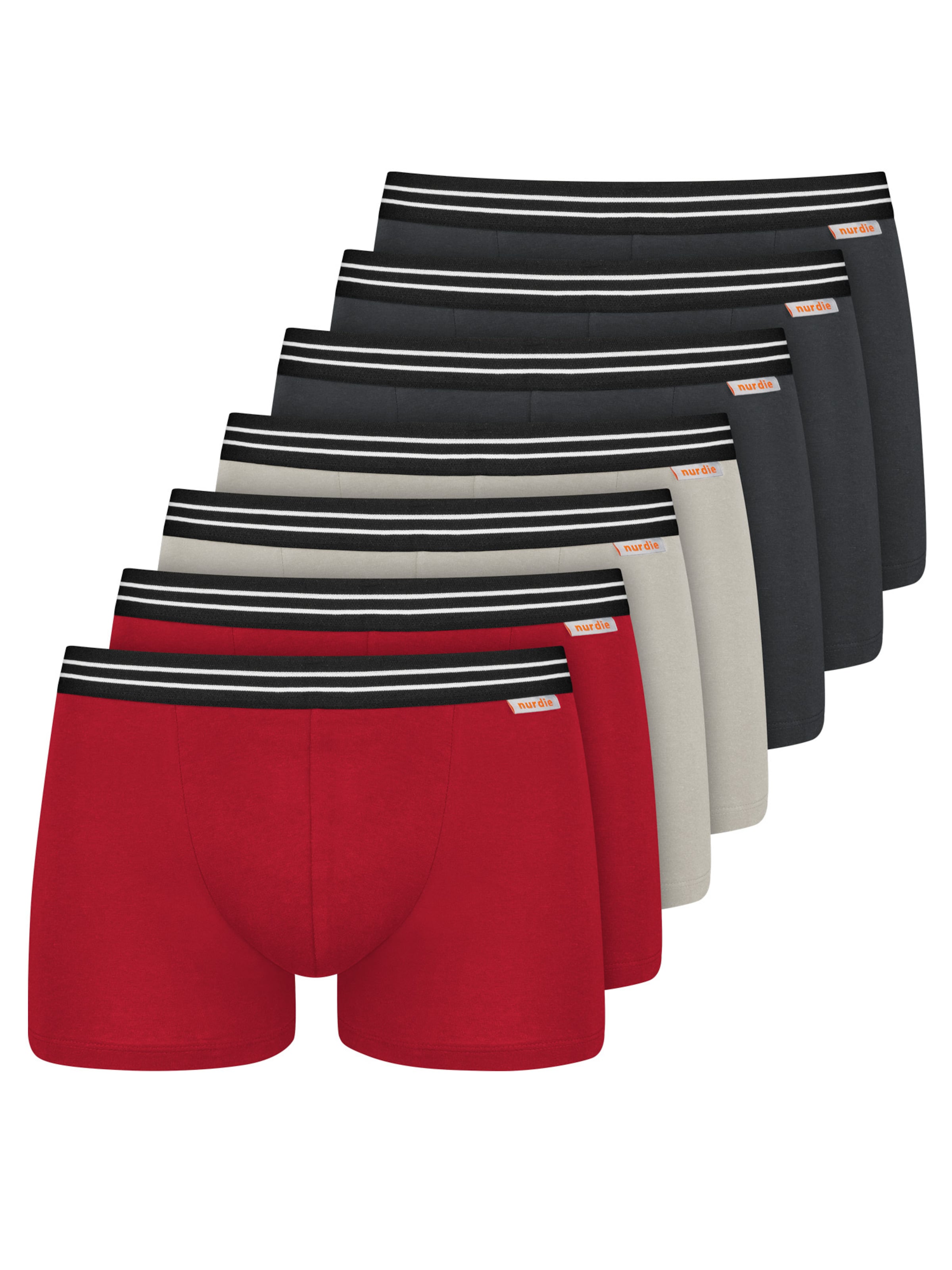Boxers ' Cotton Stretch ' Nur Die en gris : devant