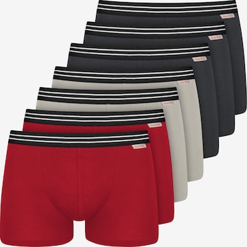 Boxers ' Cotton Stretch ' Nur Die en gris : devant