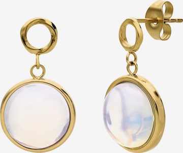 Lucardi Earrings in Gold: front