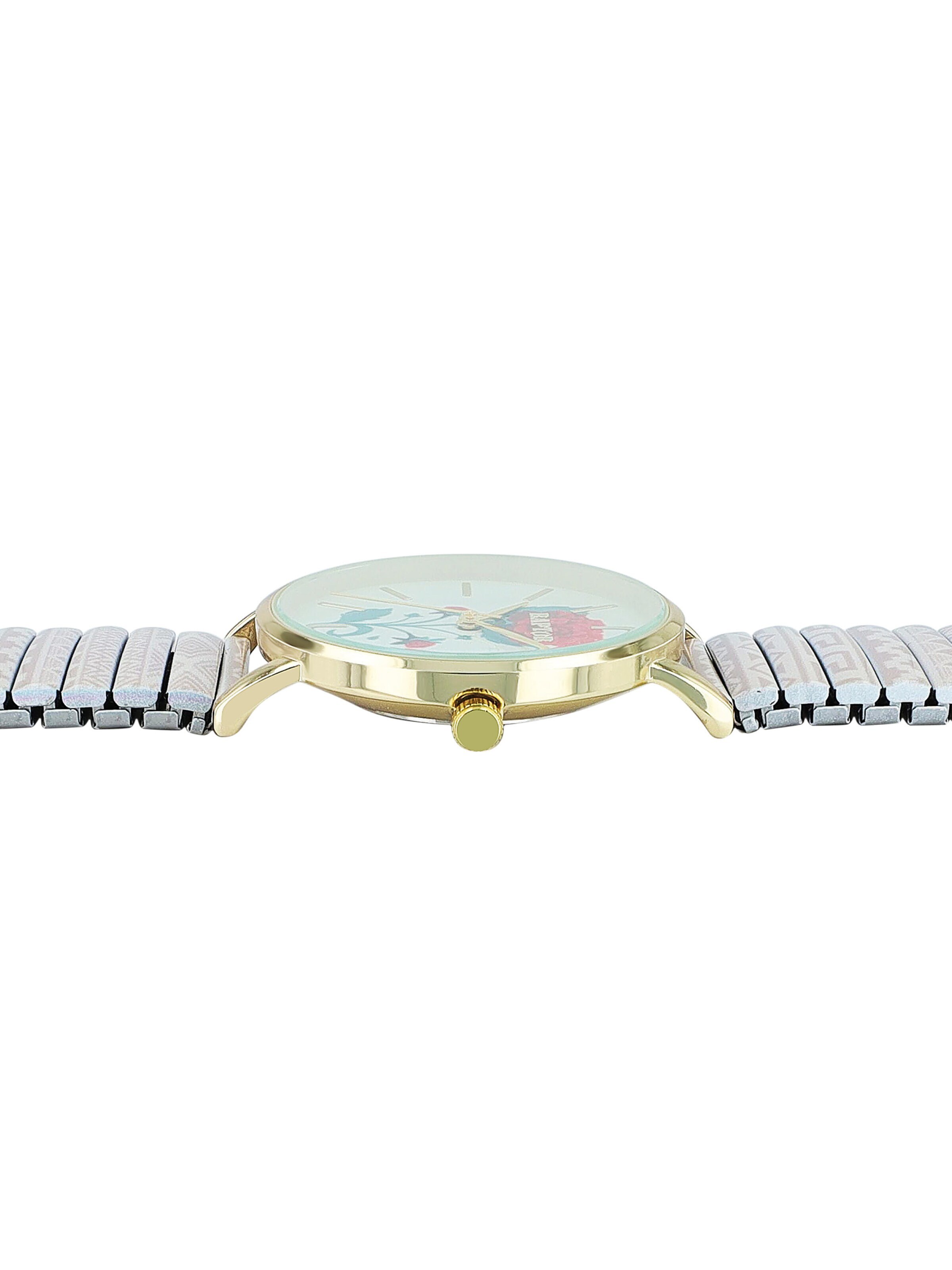 Raptor Analog Watch 'Frida Kahlo Edition, Mineralglas' in Grey