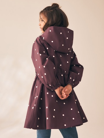 Cappotto di Next in marrone