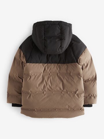 Veste mi-saison Next en marron