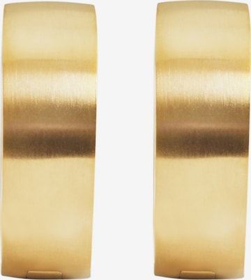Akzent Earrings 'Reyner, langlebig' in Gold: front