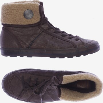 Tommy Jeans Sneakers & Trainers in 37 in Brown: front