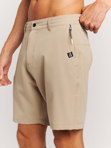 PROTEST Board Shorts 'PRTRadcot' in Brown