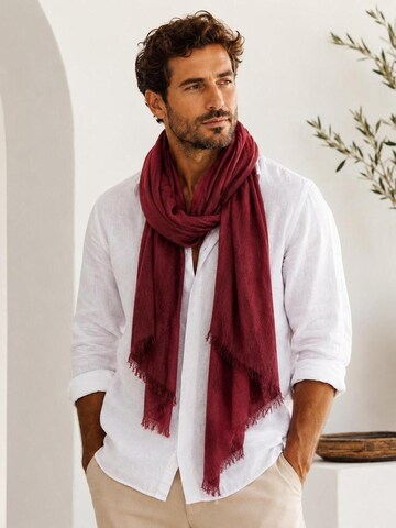 alberto cabale Scarf 'Everydays' in Red