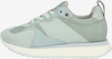 Apple of Eden Sneaker low 'LOUISA' in Grau