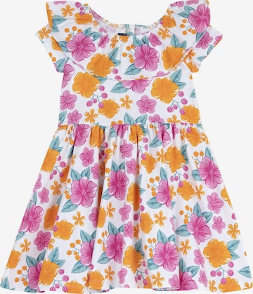 Chicco Mekko värissä monivärinen: etupuoli