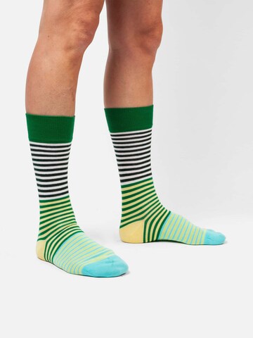 Chaussettes DillySocks en mélange de couleurs