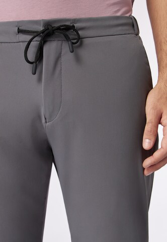 Regular Pantalon ROY ROBSON en gris