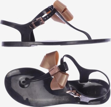 Ted Baker Sandals & High-Heeled Sandals in 37 in Black: front