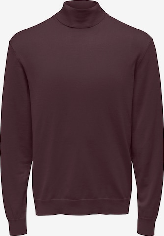 Only & Sons Свитер 'ONSWYLER' в Красный: спереди