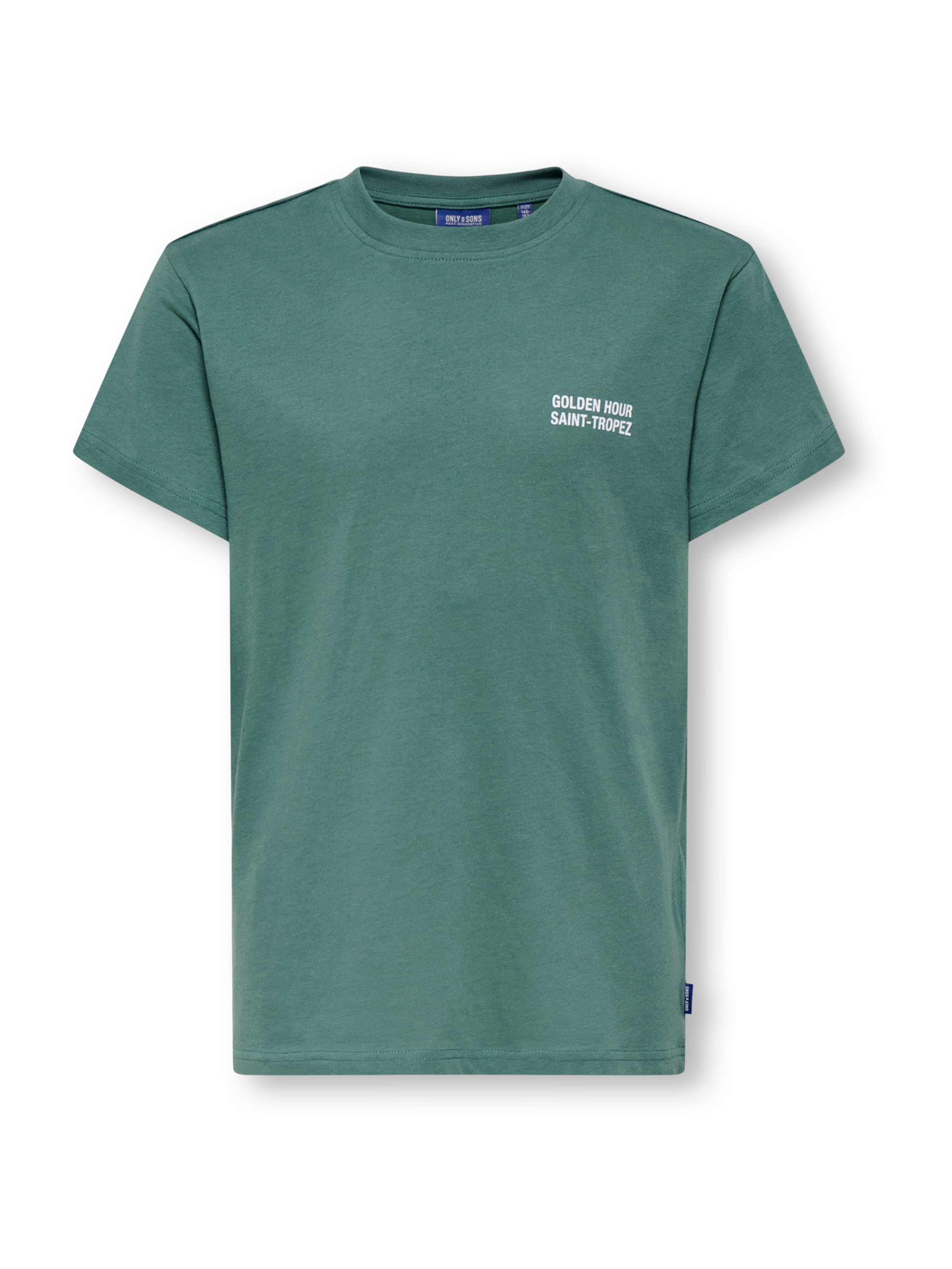 Only & Sons Junior T-shirt 'OSJDESERT' i grön: framsida