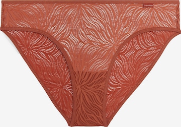 Calvin Klein Underwear Slip 'Sheer Marquisette' in Orange: front