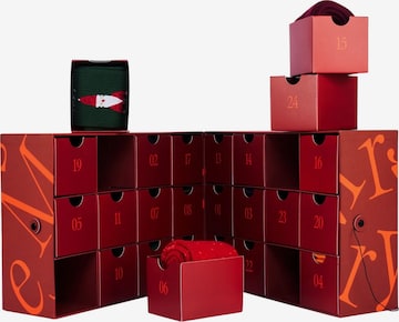 Von Jungfeld Socken 'Weihnachtskalender mit Socken' in Mischfarben: Vorderseite