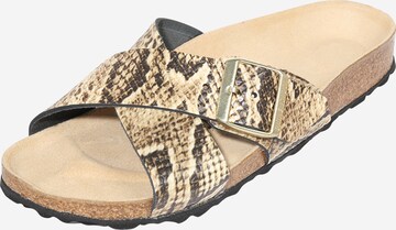 BIRKENSTOCK Pantolette 'Siena' i beige: framsida