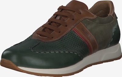 Galizio Torresi Sneakers laag '419610' in de kleur Bruin / Groen, Productweergave