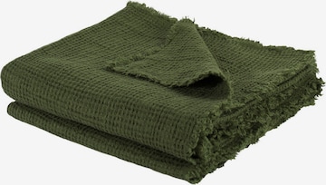 ZOEPPRITZ Blankets 'Honeybee' in Green: front