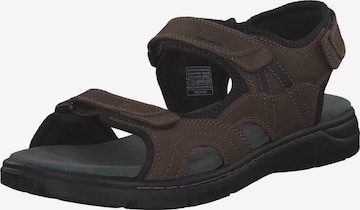 JOSEF SEIBEL Sandals 'Marlon 06 57906' in Brown: front