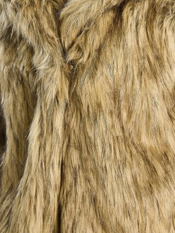 Bianco Lucci Winterjas in Bruin