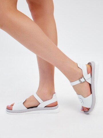 CESARE GASPARI Sandals in White: front