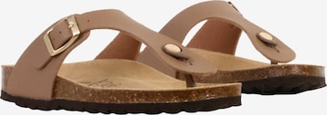 The Divine Factory Mule in Brown: front