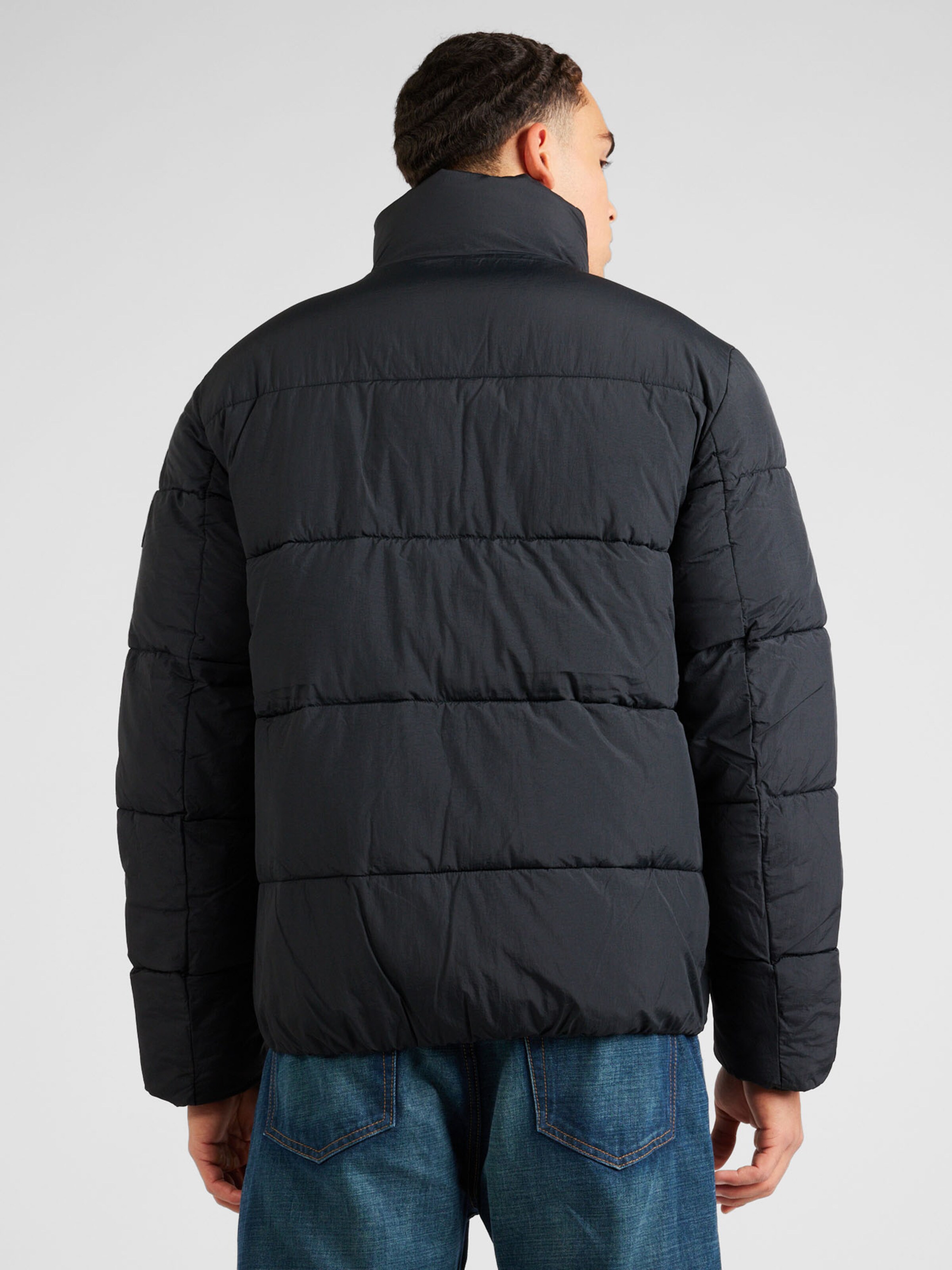 Calvin Klein Winter Jacket in Black | ABOUT YOU
