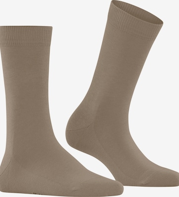 FALKE Socks 'Family' in Beige: front