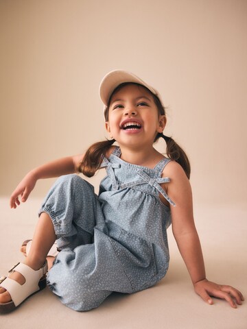 Next Overall in Blue