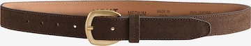 Next Belt in Brown: front