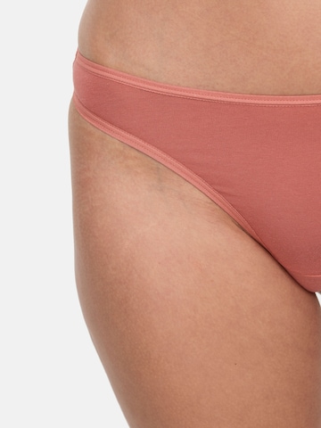 Nur Die String ' Basic ' in Blau