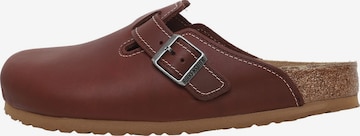 BIRKENSTOCK Pistokkaat 'Boston' värissä ruskea: etupuoli